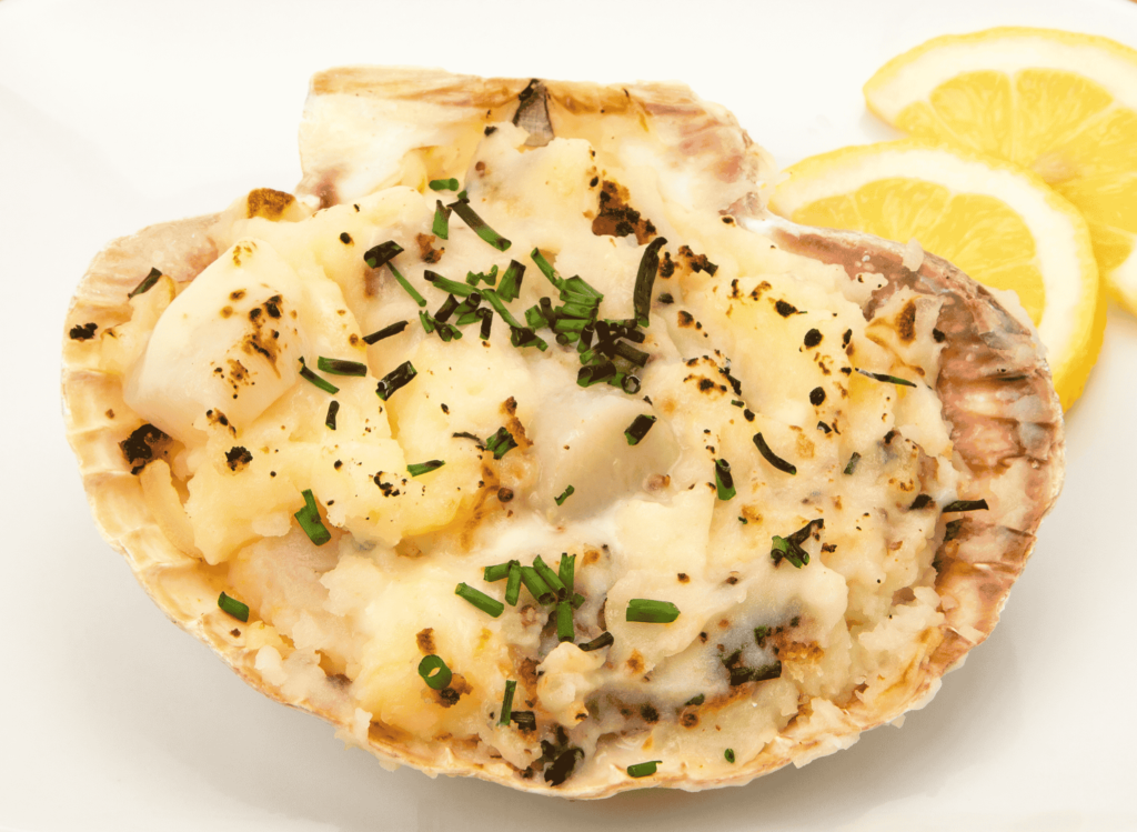 Coquilles Saint-Jacques