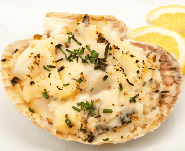 Coquilles Saint-Jacques