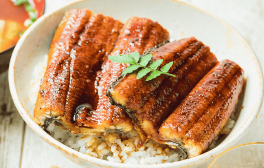 Japanese Unagi