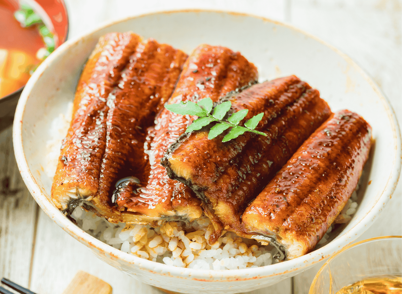 Japanese Unagi