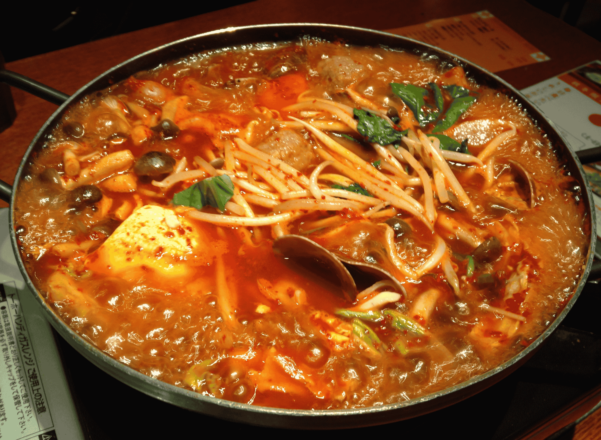 Lẩu (Vietnamese Hotpot)