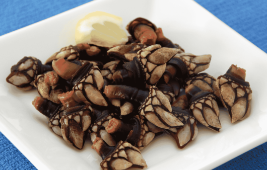 Spanish Percebes (Goose Barnacles)