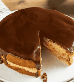 Boston Cream Pie (Custard Filled Chocolate Cake)