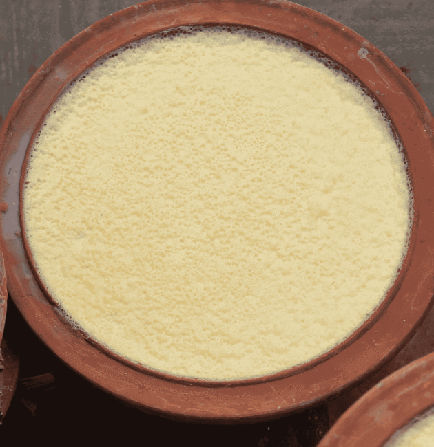Juju Dhau (Royal Curd)