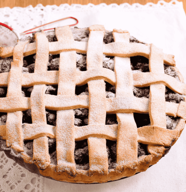 Partridgeberry Pie (Tart Red Berry Dessert)