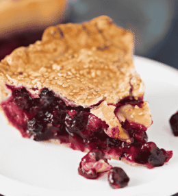 Saskatoon Berry Pie (Wild Berry Dessert)