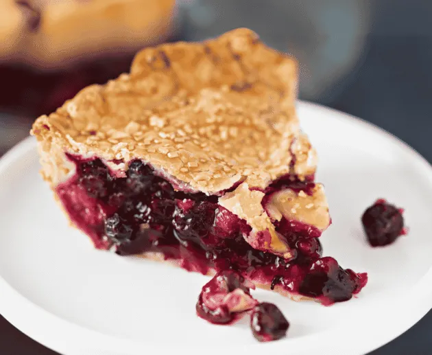 Saskatoon Berry Pie (Wild Berry Dessert)