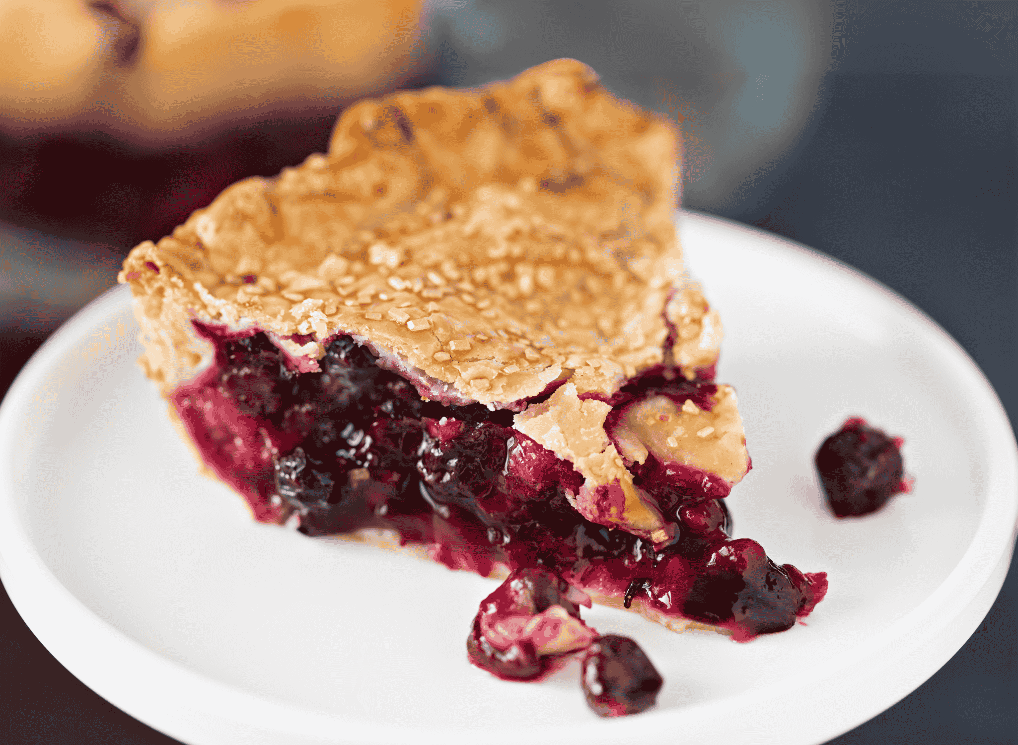 Saskatoon Berry Pie (Wild Berry Dessert)